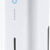 Dehumidifiers * | Economic Price Smartdevil Dehumidifier, 850Ml (28 Oz) Auto-Off Small Dehumidifier For 215 Sq Ft, Compact And Portable Mini Dehumidifier For Basement, Bathroom, Garage, Wardrobe, Rv And Room ( ) White